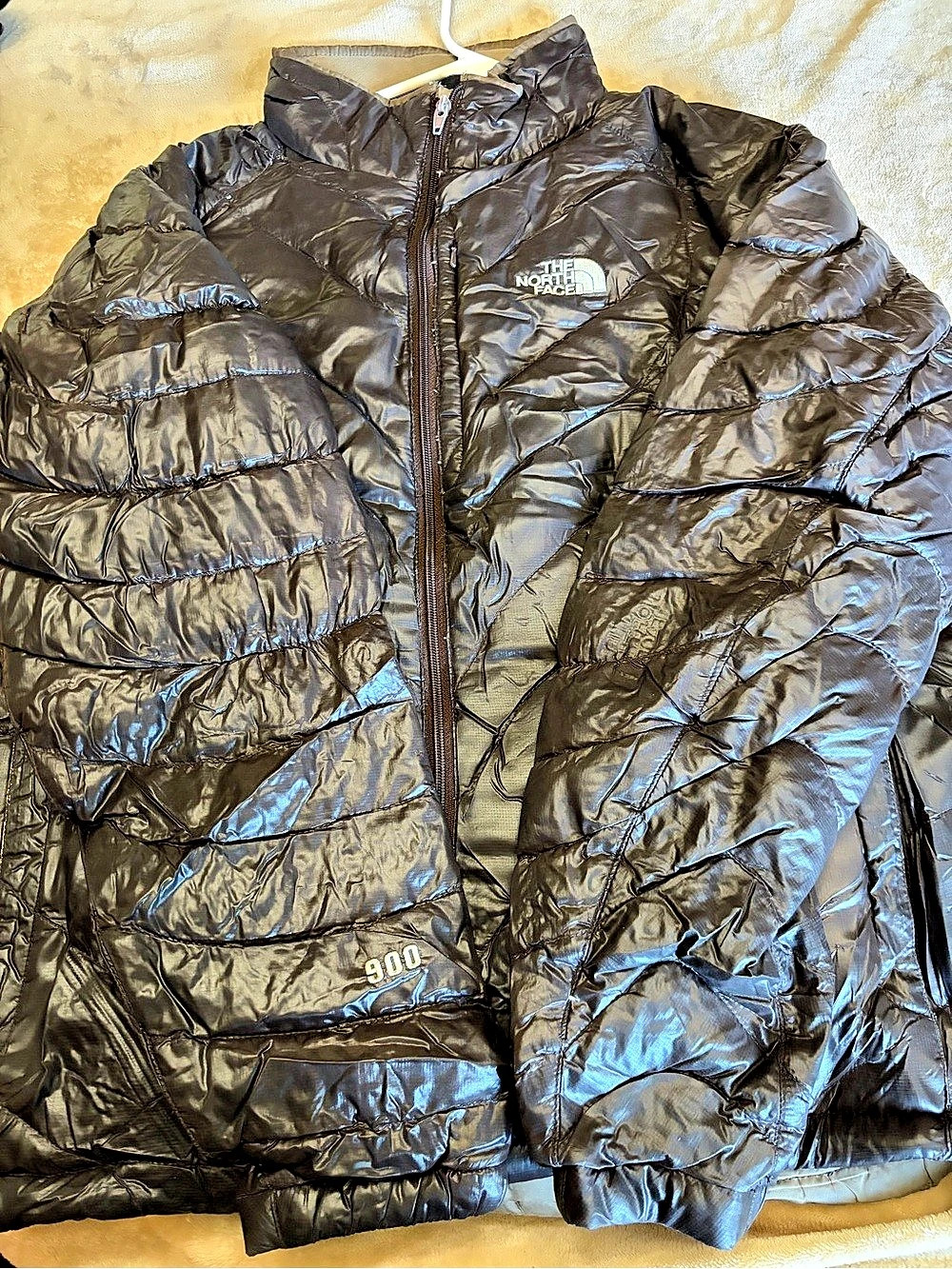 The North Face Summit Series 900 Fill Down Puffer Jacket